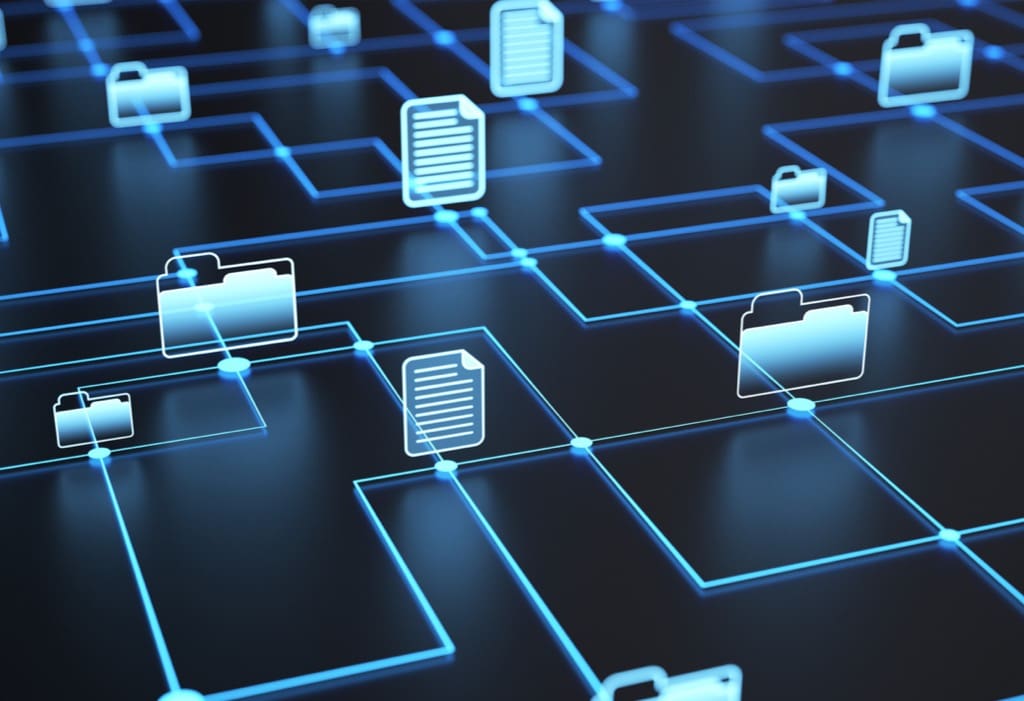 File Server What is it and Why Does Your Business Ned One?