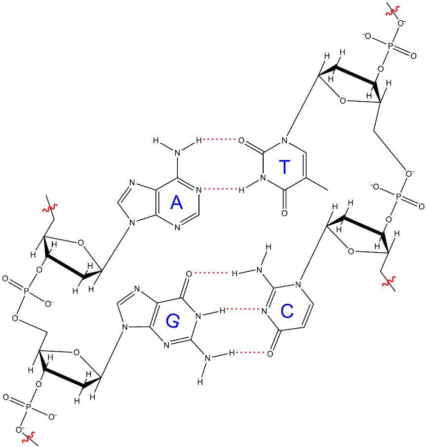 16.4 Polymers and Biopolymers Chad's Prep®