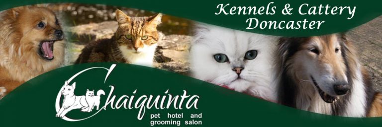 Cattery Chaiquinta Pet Hotel Doncaster