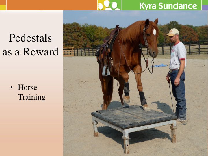 Pedestal Training to Improve Focus, Drive, and Precision