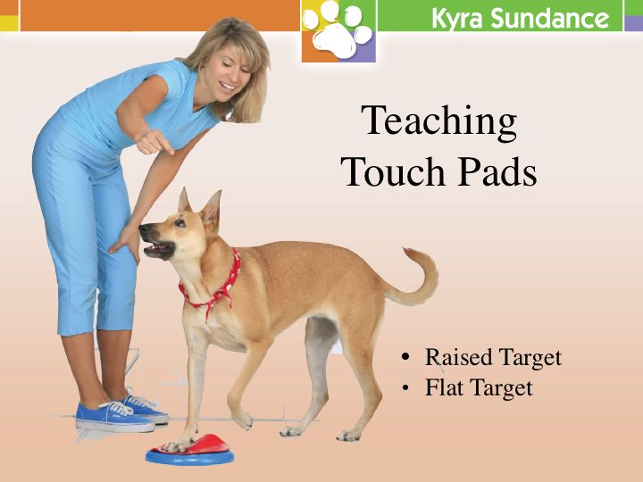 Pedestal Training to Improve Focus, Drive, and Precision