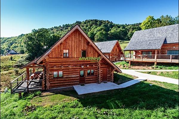 Location lac chambon chalet Châlet, maison et cabane