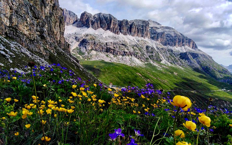 Das Faszinierende Fassatal in Südtirol Chalet Aster