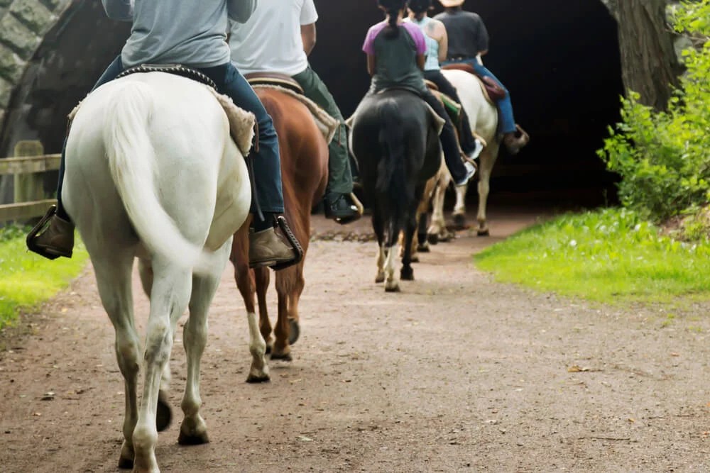 Explore Nature Horseback Riding in Hocking Hills Chalets At Hocking