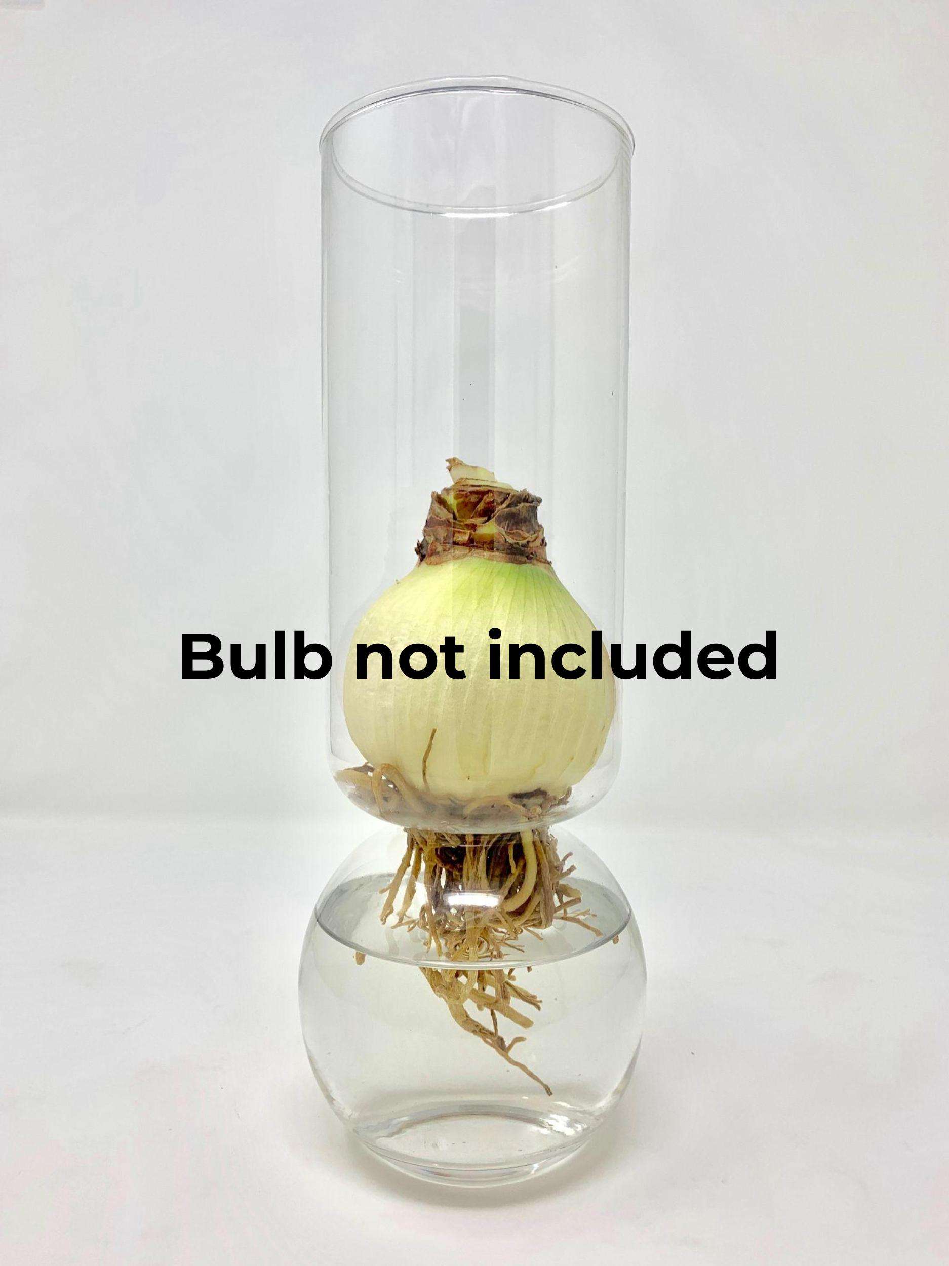 Glass Bulb Vase Chalily Ponds & Gardens