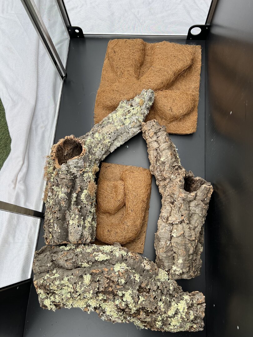 EXPANDING FOAM WALL FIRST WALL DONE Chameleon Forums