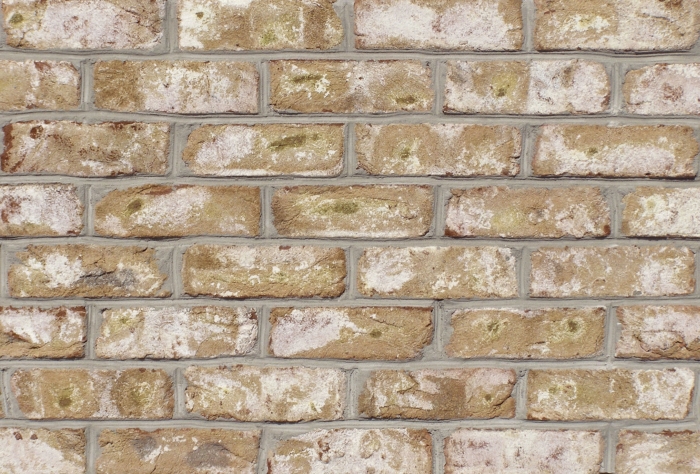 Glen Gery Thin Brick Installation maximalia