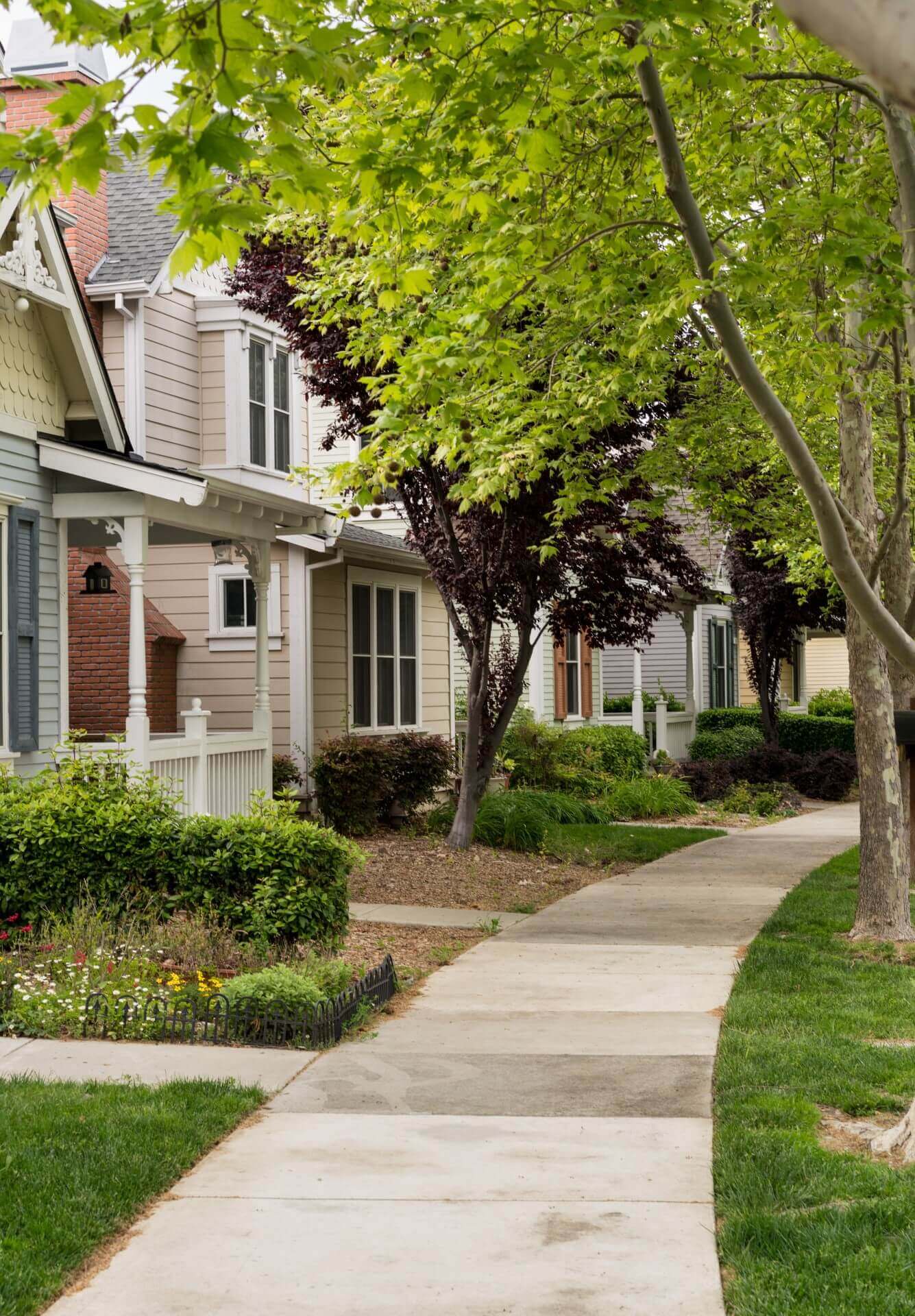 Do you need a permit to cut down a tree in Massachusetts? Tree