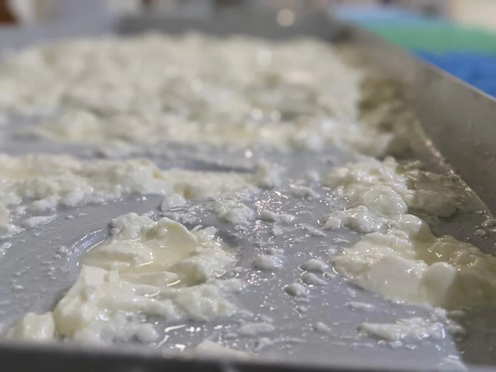 Fromagerie Artisanale Chaource En Pays D Armance