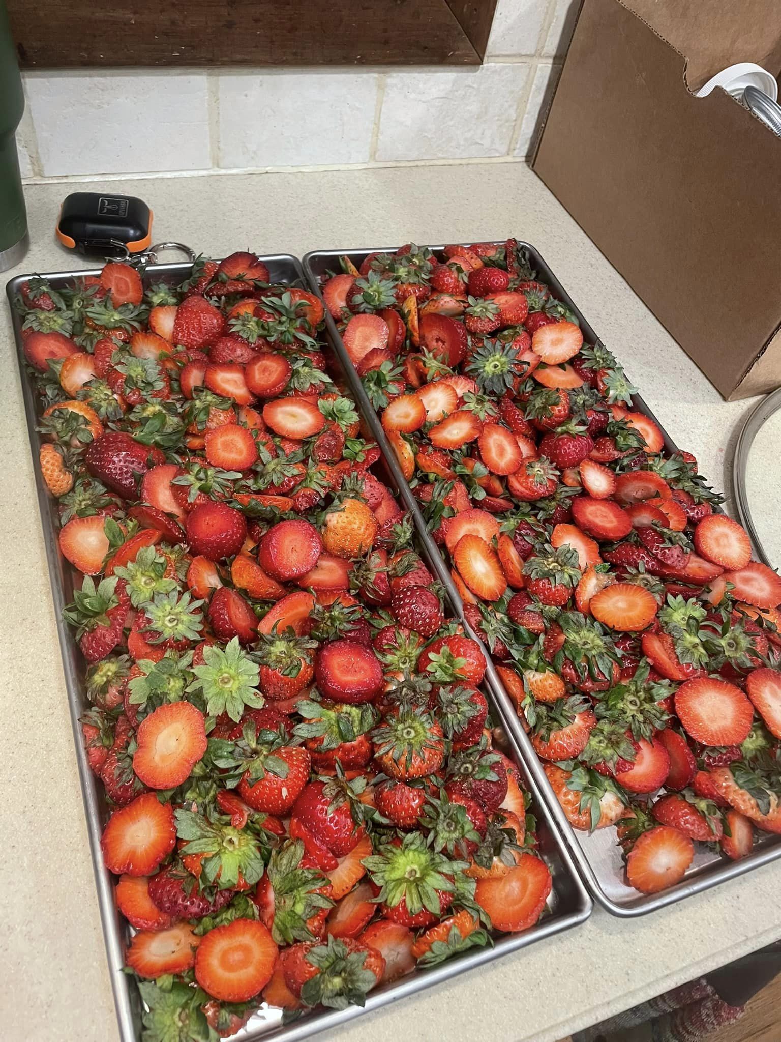 How to Use Mylar Bags Your Top 4 Questions Answered