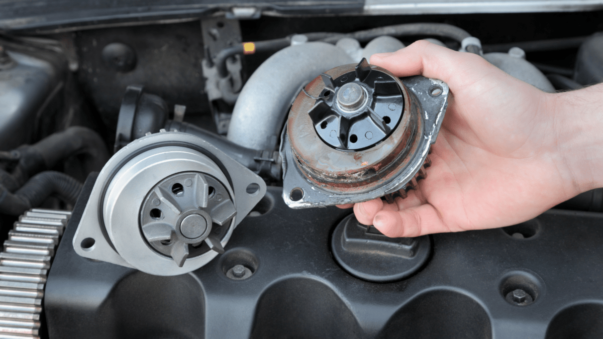 What Are The Symptoms Of A Bad Car Water Pump? Chapman Auto Repair of