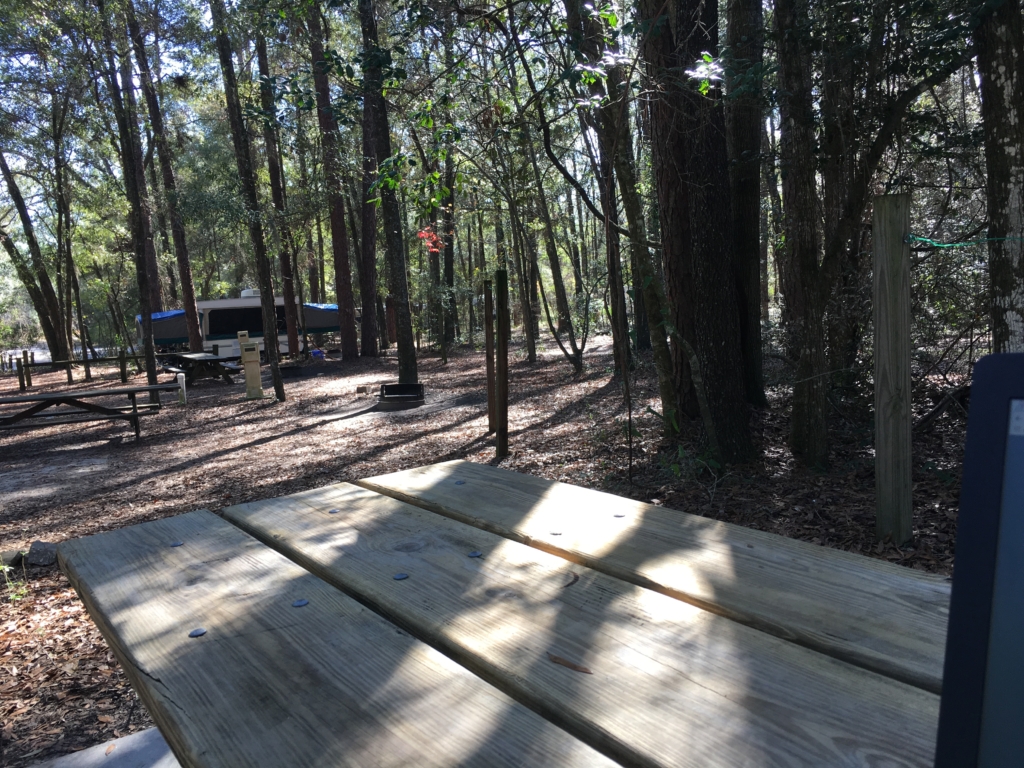Campground Review Suwannee River State Park, Live Oak, Florida