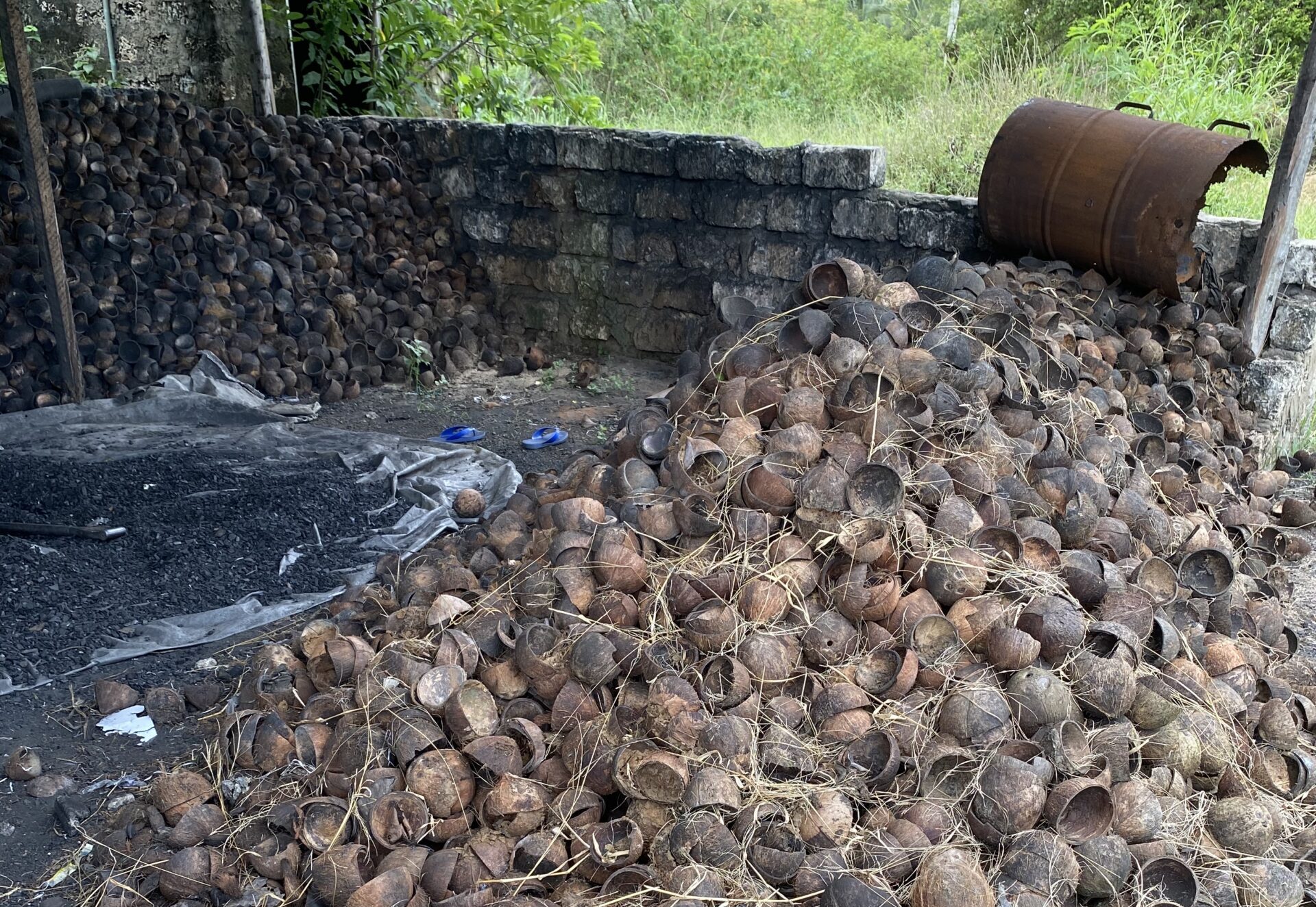 Leveraging Coconut Waste to Maximize Impact The Charcoal Project
