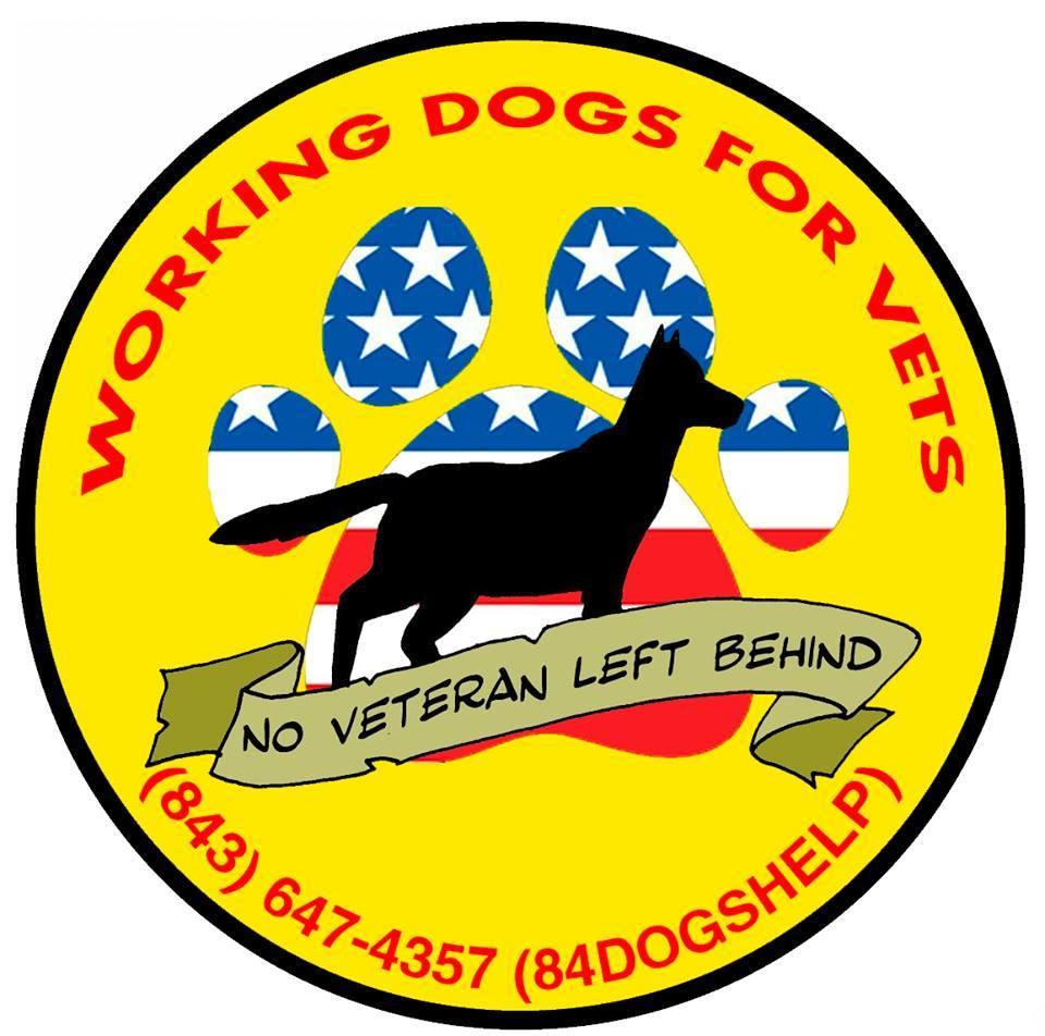 Working Dogs for Vets Charity Choices