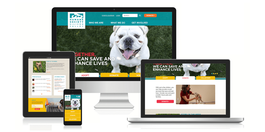Humane Society Silicon Valley Charity Dynamics