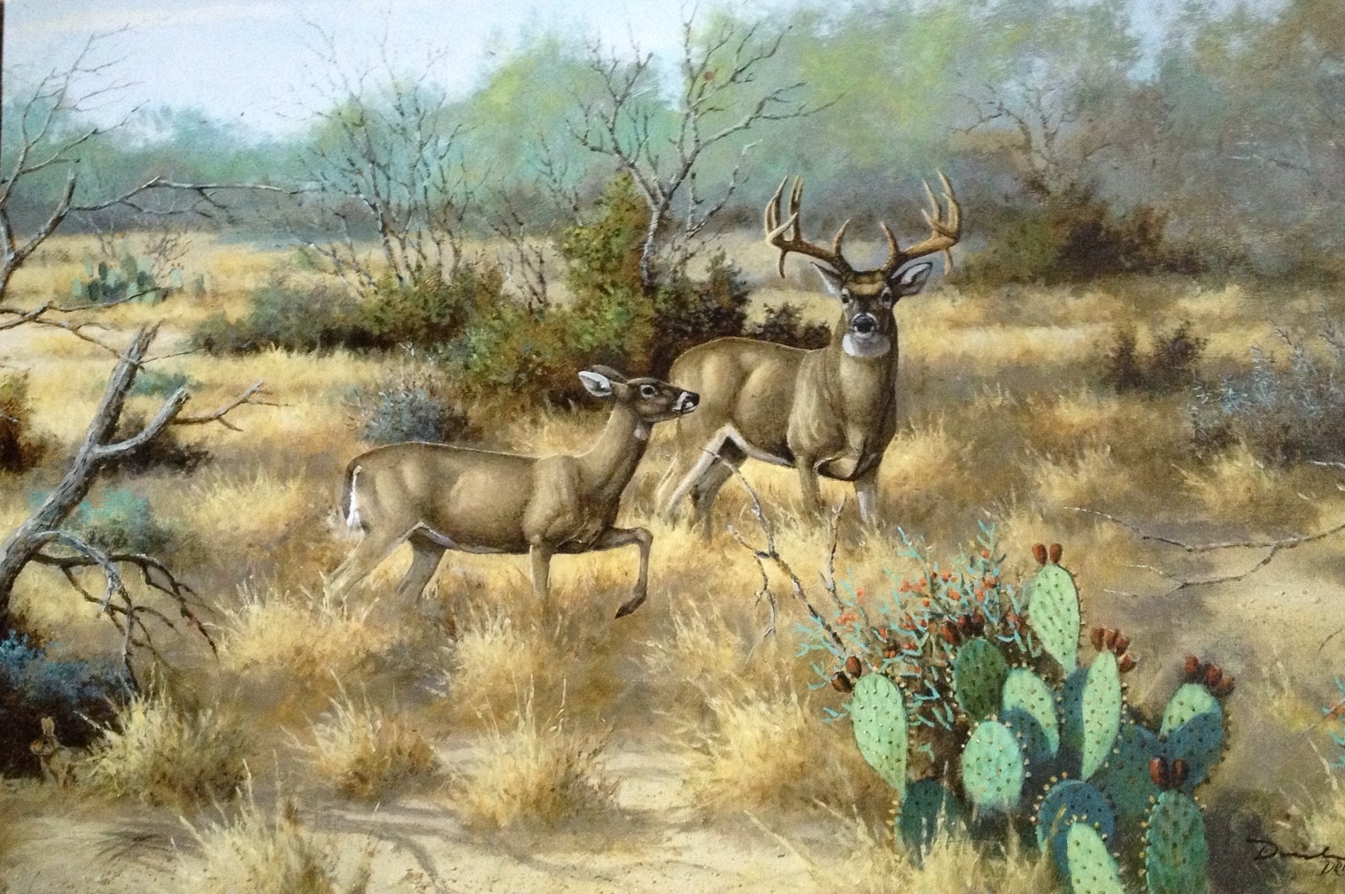 SOUTH TEXAS RUT BY DAVID DRINKARAD GICLEE ON CANVAS WHITETAIL DEER eBay