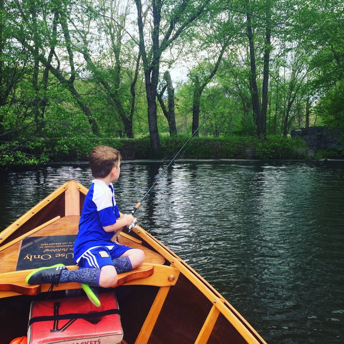 Biltmore Offers Free Admission for Kids During the Summer