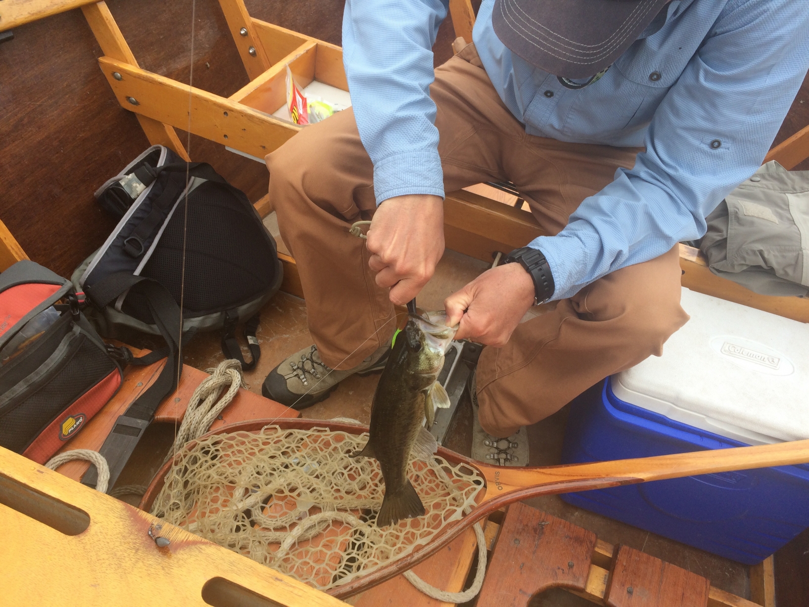 Biltmore Offers Free Admission for Kids During the Summer