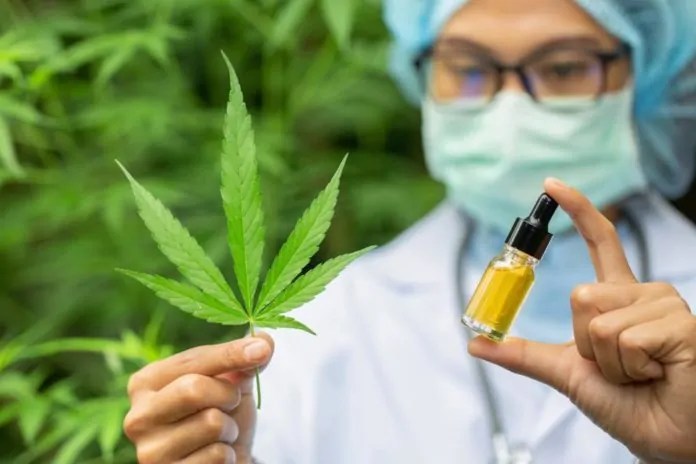 Here's What Most Doctors Think About Cbd Oil - Chart Attack