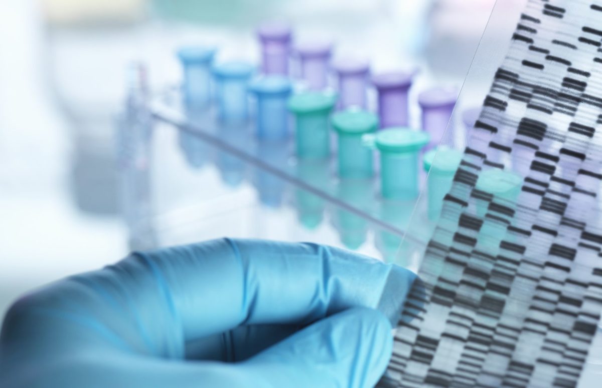 Are Commercial DNA Test Kits Accurate? Here's What You Need to Know