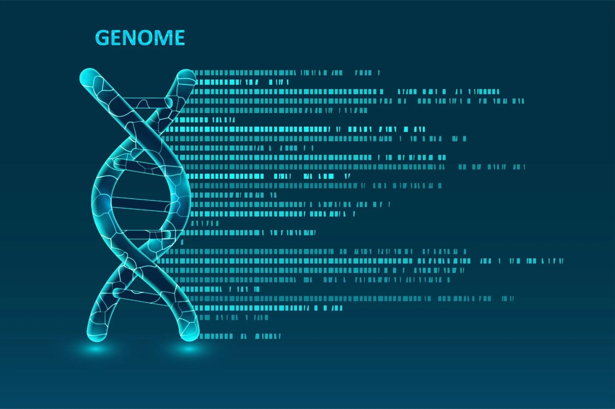 Decoding the genome how AI is revolutionising genomic analysis