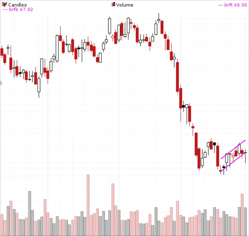 Bear Flags (and pennants) Definition