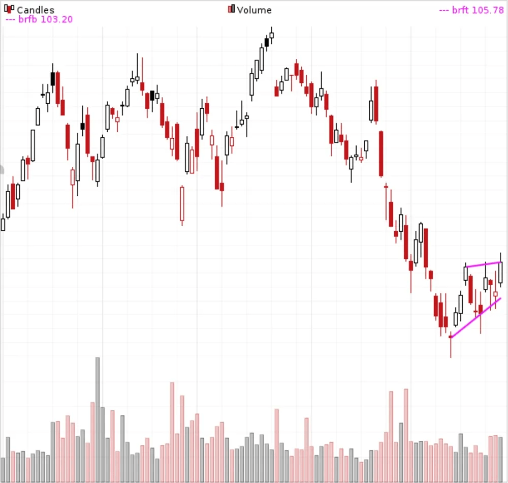 Bear Flags (and pennants) Definition
