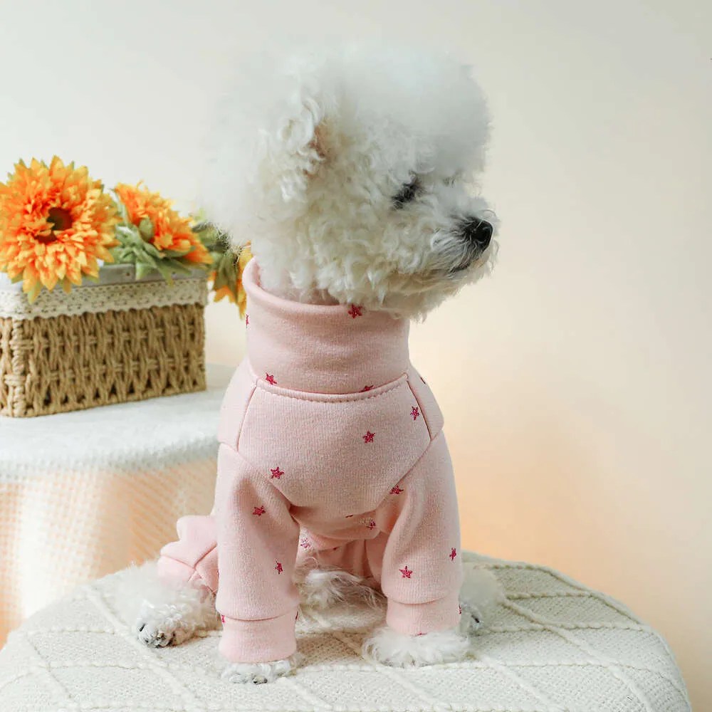 How Big is the Pet Clothing Industry? A Comprehensive Market Analysis