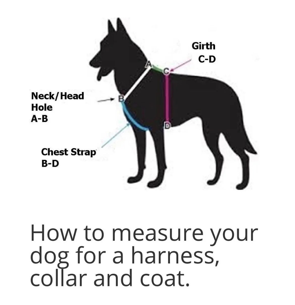 Slip in Dog Harness Easy Fitting and Full Mobility for Your Dog Chase Pro