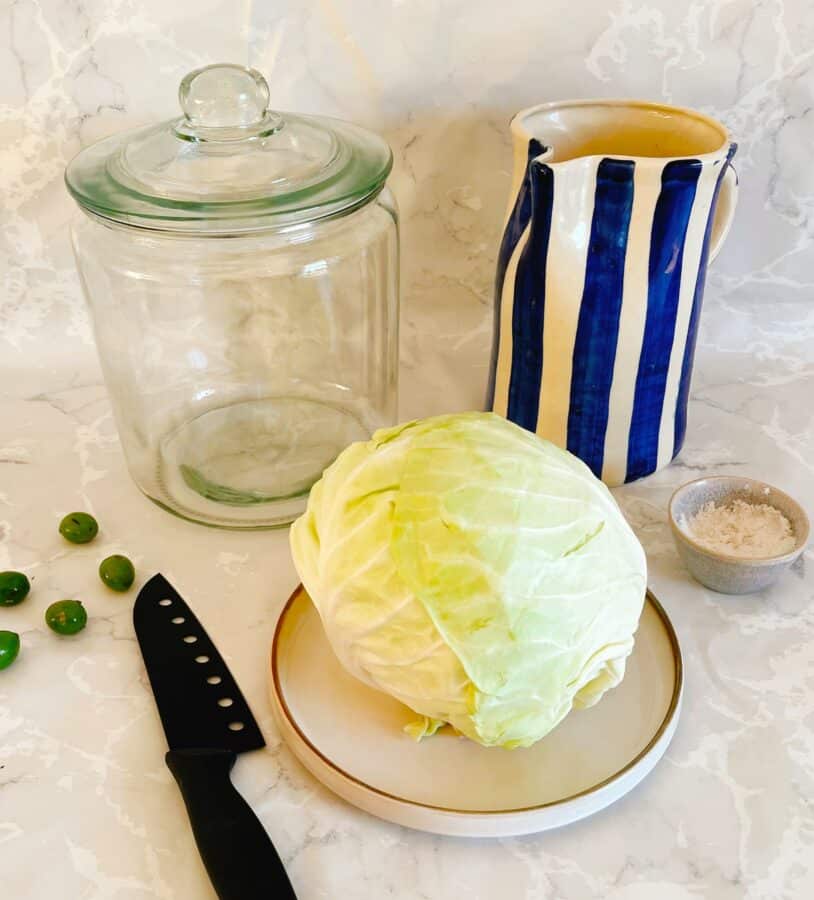 How To Make A Sour Cabbage In 6 Steps Chasing the Donkey