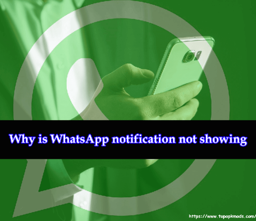Why is WhatsApp notification not showing in the status bar? 5 Steps