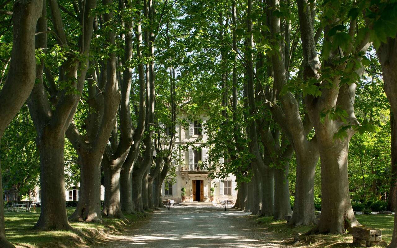  Le Château des Alpilles Hôtel 5 étoiles à SaintRémydeProvence