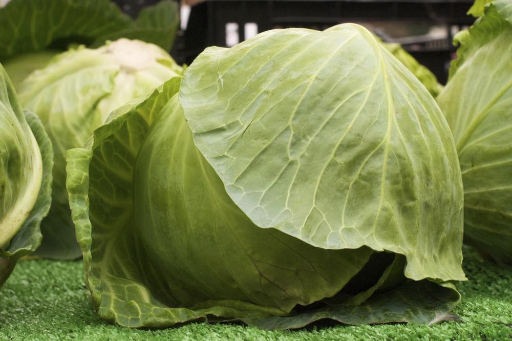 Five Health Benefits Of Cabbage And A Coleslaw Recipe - Chatelaine