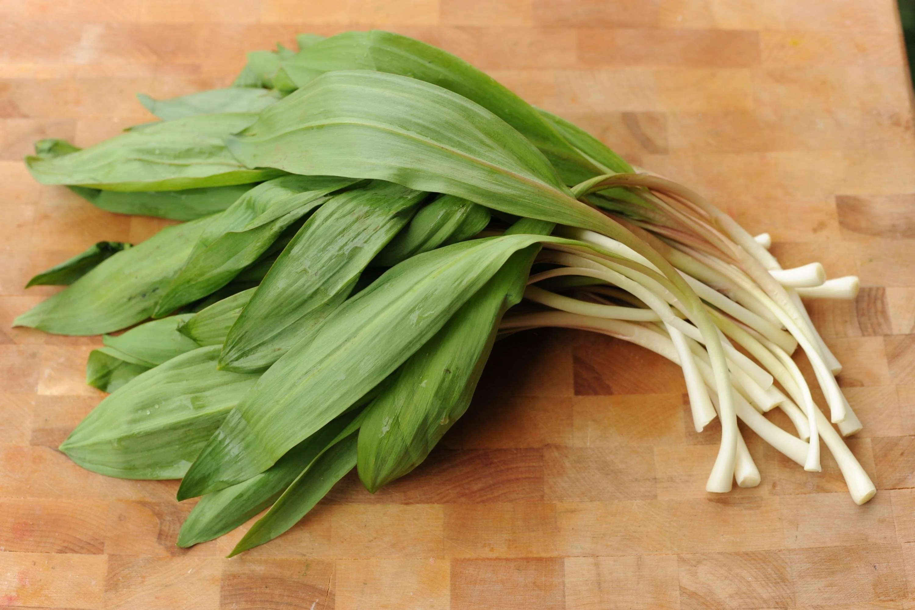 Ramp up your heart health with wild leeks Chatelaine