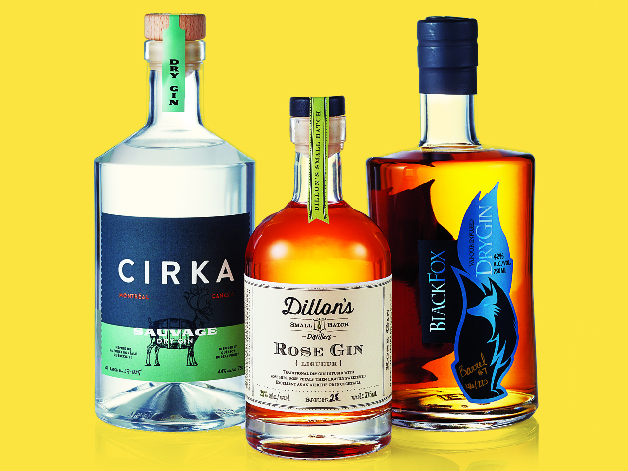 11 Canadian Gins That Will Change Your G&T Forever Chatelaine