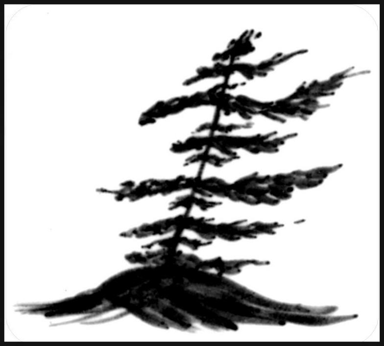 Handmade Stoneware Pottery & Dinnerware in Buffalo NY by Chatham Pottery