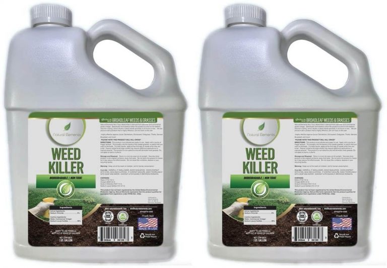 Pet Friendly Weed And Feed Bunnings KALECAH