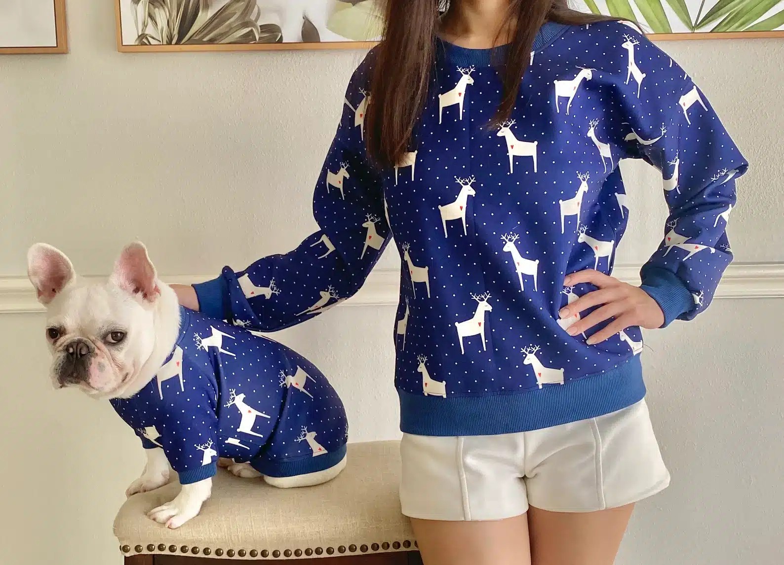 The 35 Best Pet Christmas Sweaters [Happy Howlidays!] ChatterSource
