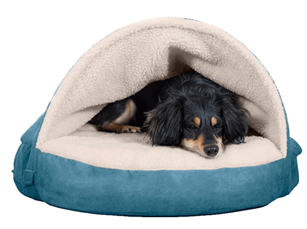 The 12 Best Dog Beds For Old Dogs ChatterSource