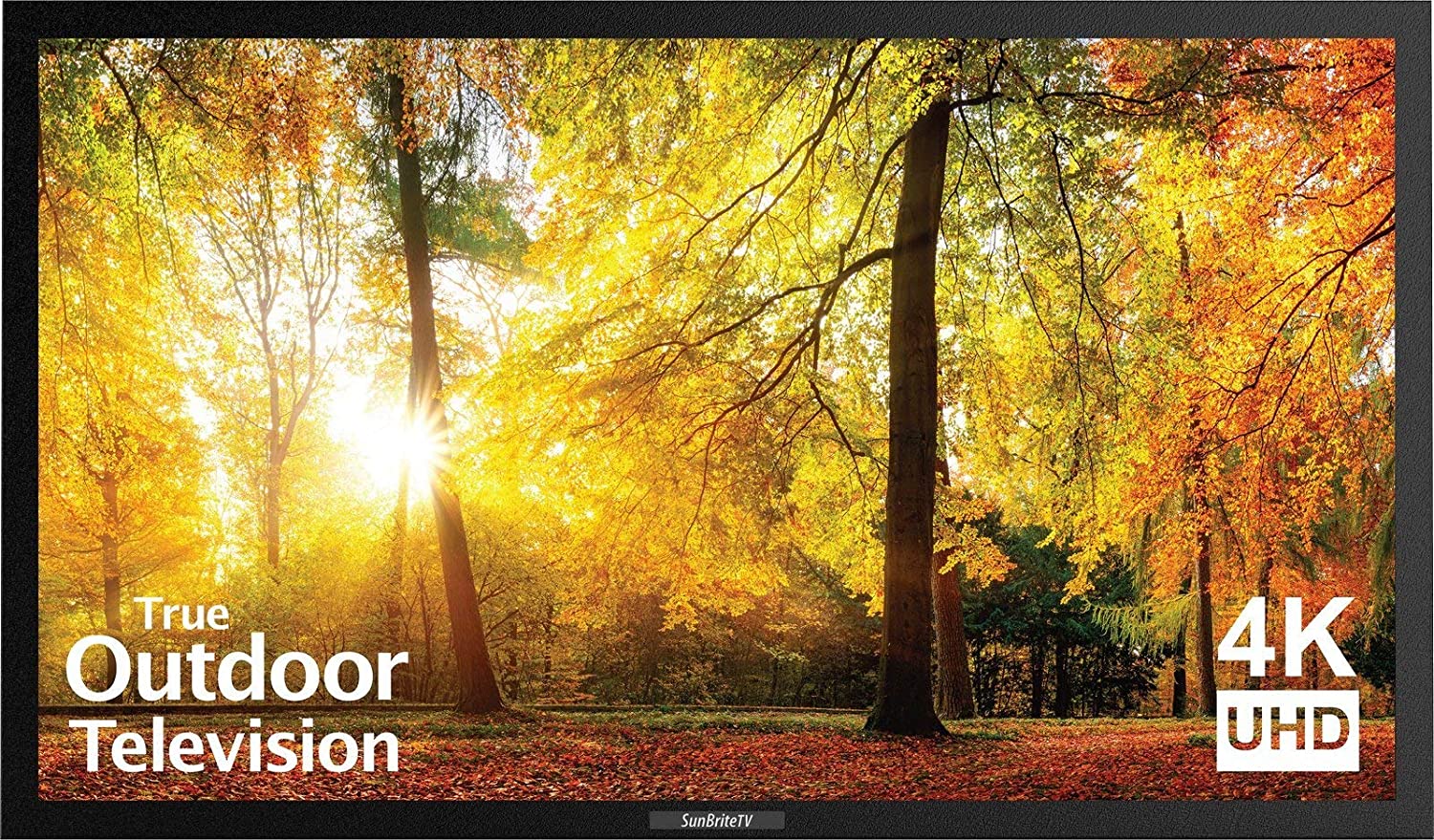 The 5 Best Outdoor TVs [To Up Your Patio Game]