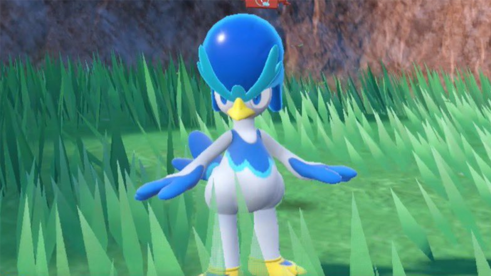 Quaxly Evolution Guide Stats, Moves, Type, and Location Cheat Code