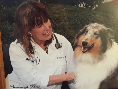 CLAH Vets Cheat Lake Animal Hospital
