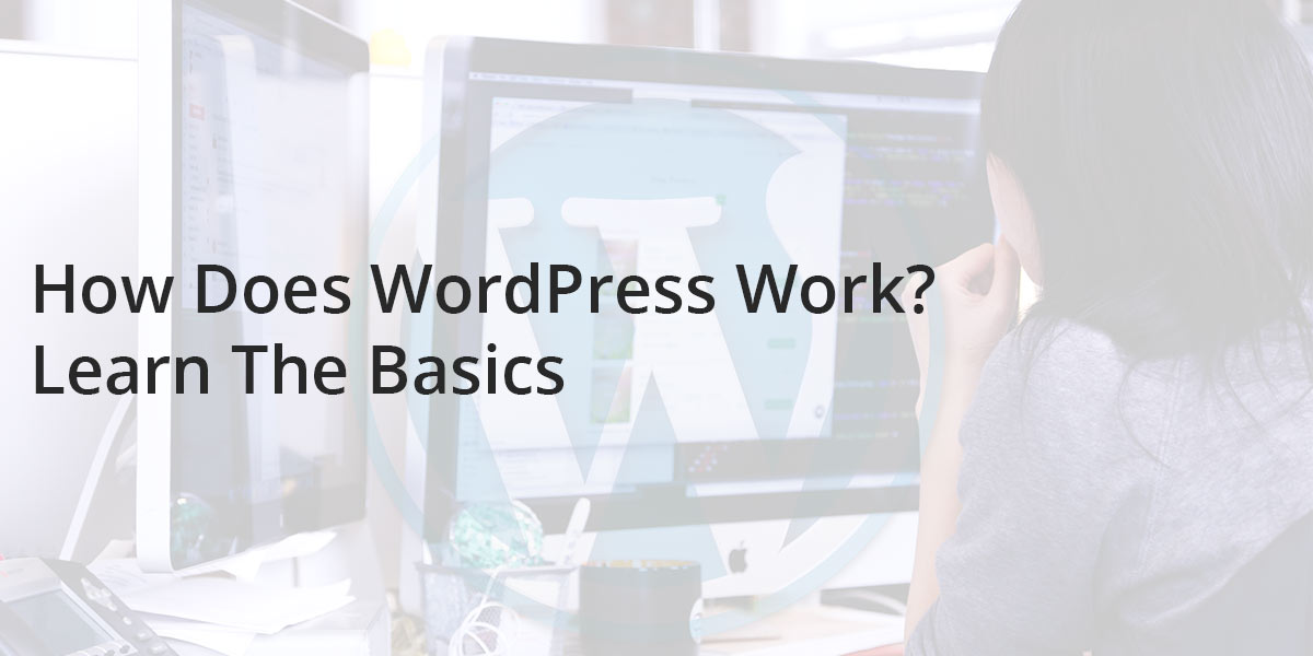 How Does WordPress Work? Learn The Basics Checkmate Hosting