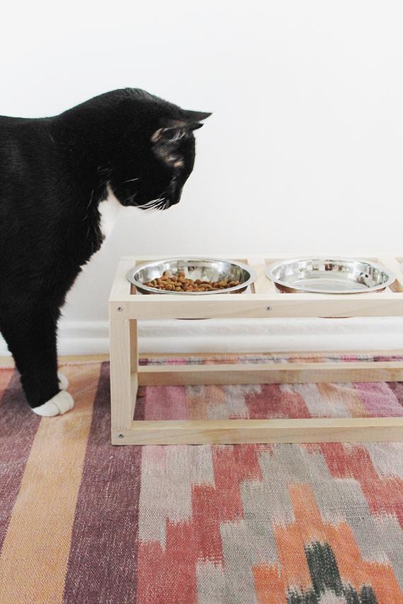 Cute DIY Projects For Cat Owners