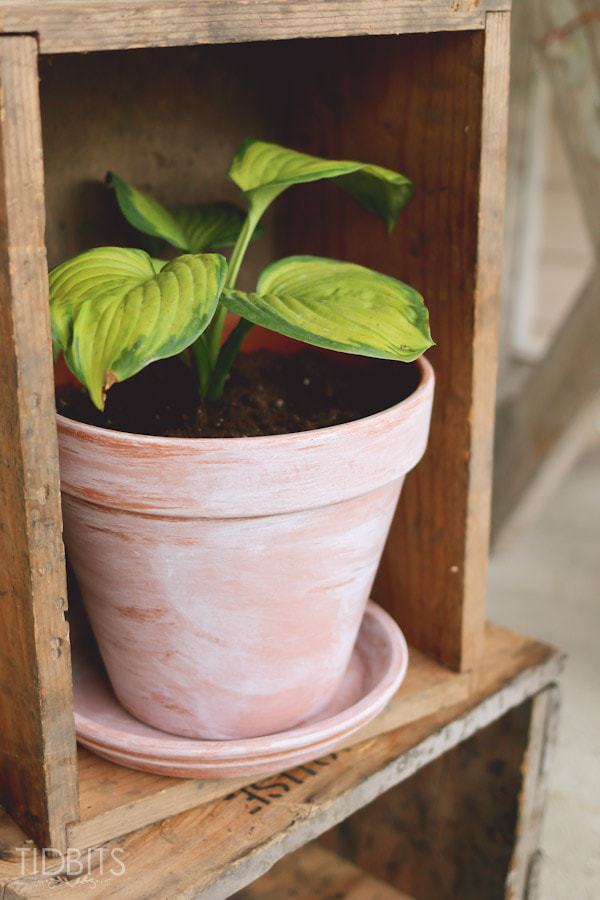 Cool Homemade Painted Flower Pot Ideas