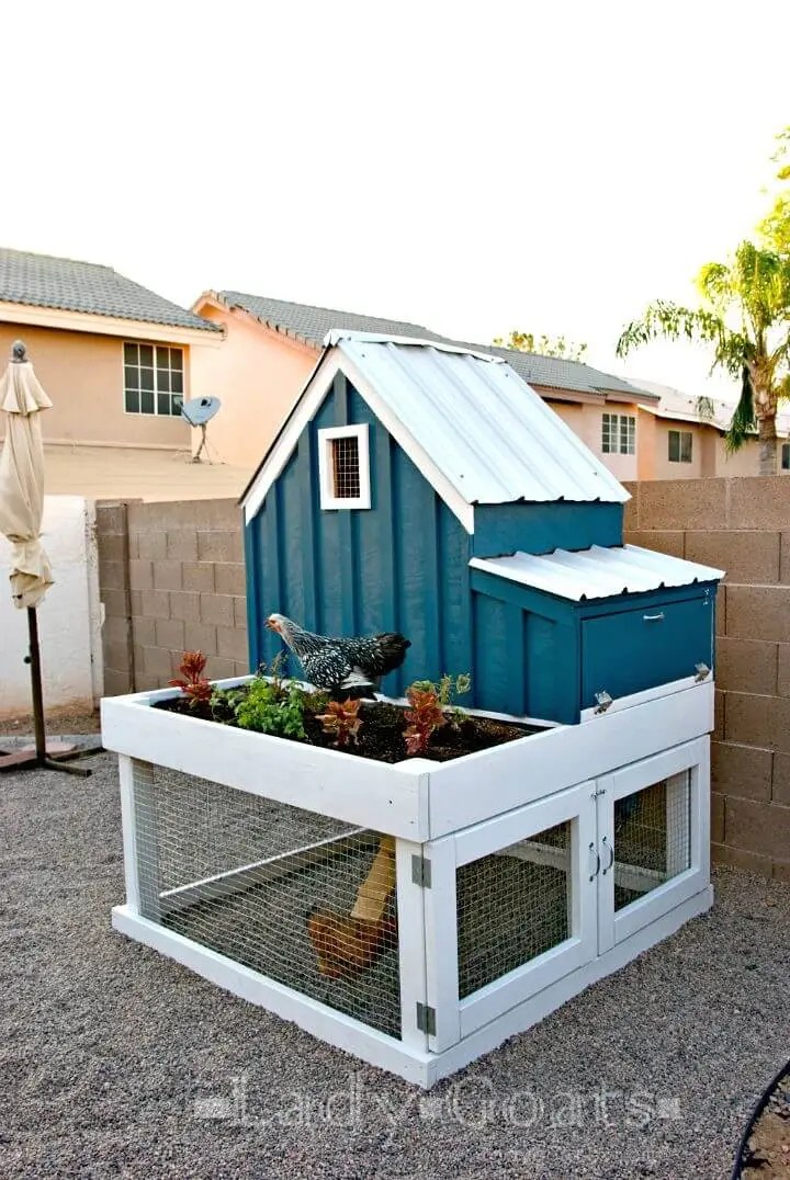 30+ Awesome Chicken Coop Projects