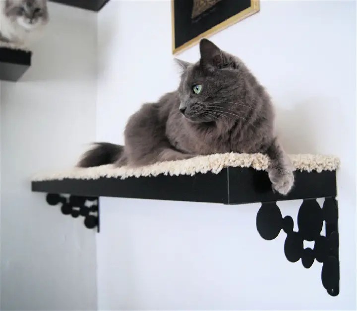 20 Fun and Free Homemade DIY Cat Tree Plans