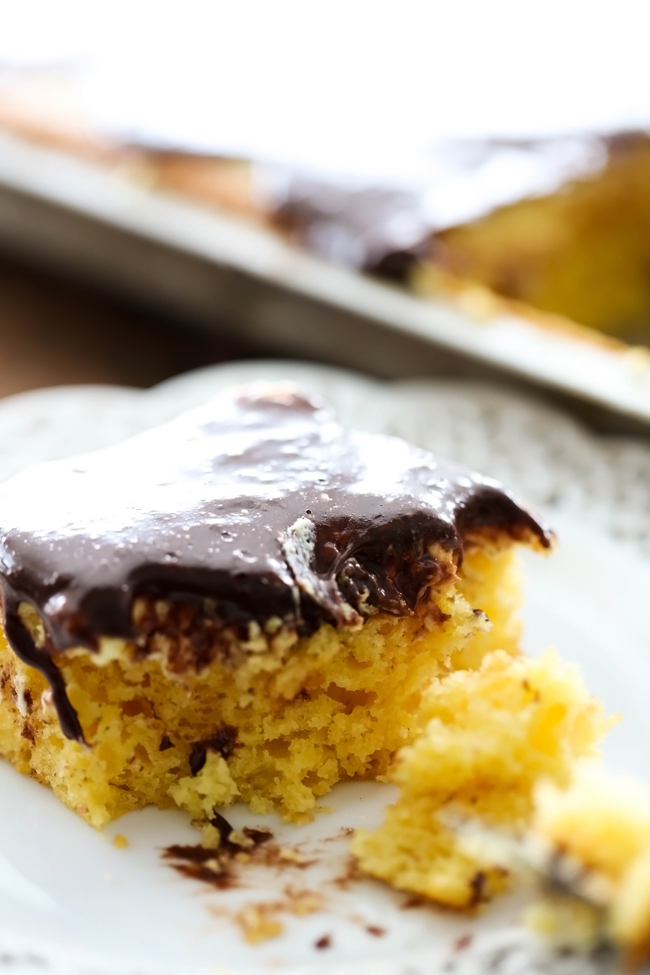 Boston Cream Pie Sheet Cake Chef in Training