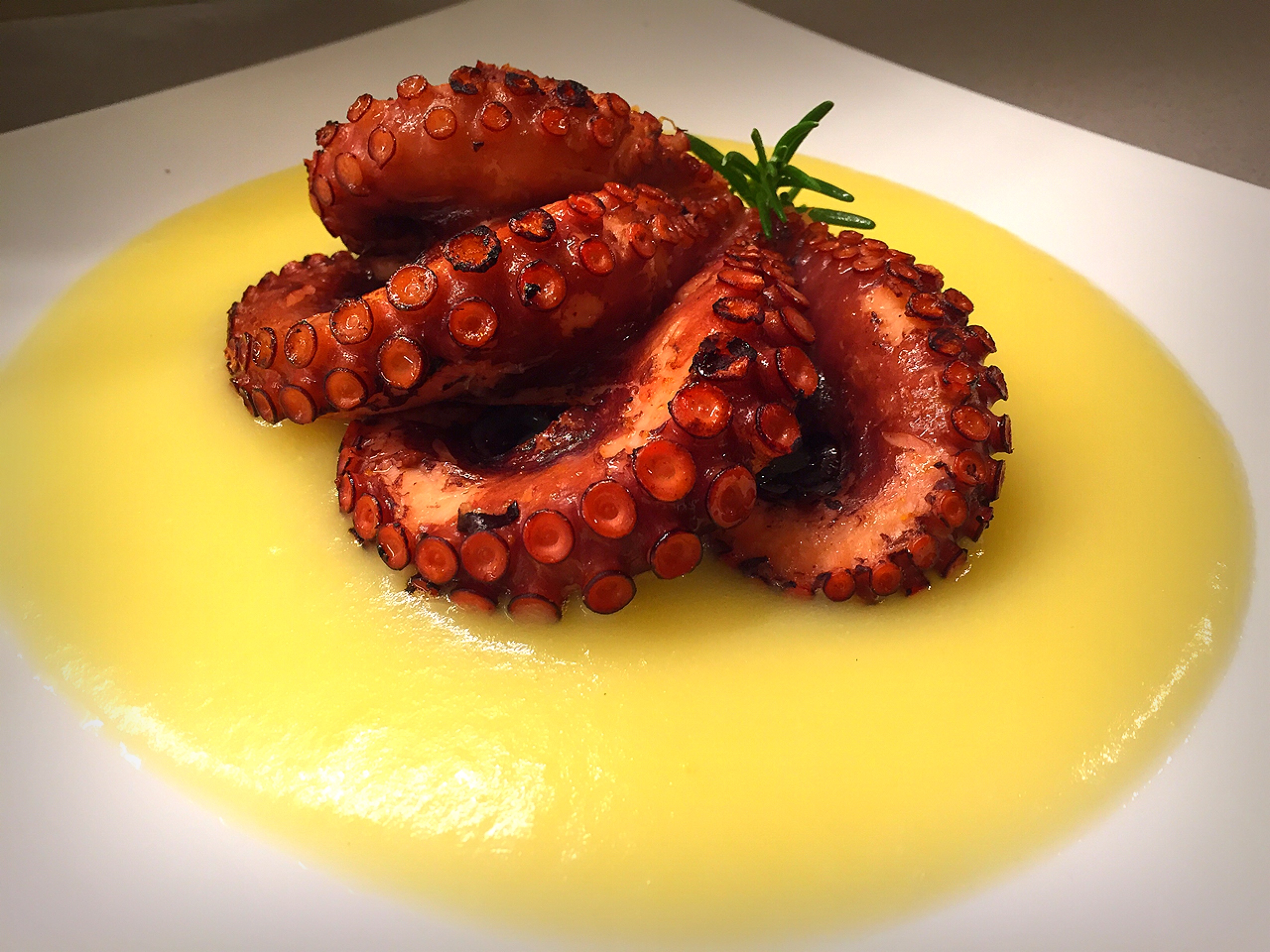 Polpo croccante su crema di patate alla curcuma, radicchio tardivo