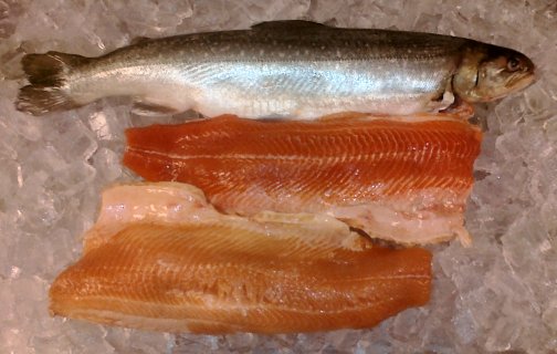 Arctic Char Culinary Profile Chefs Resources